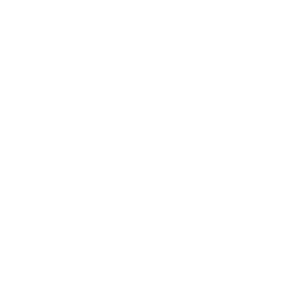 Grupo 283@2x Grupo | FLEXVIT Mini