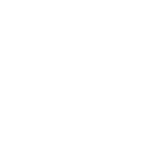 Grupo 284@2x Grupo | FLEXVIT Mini