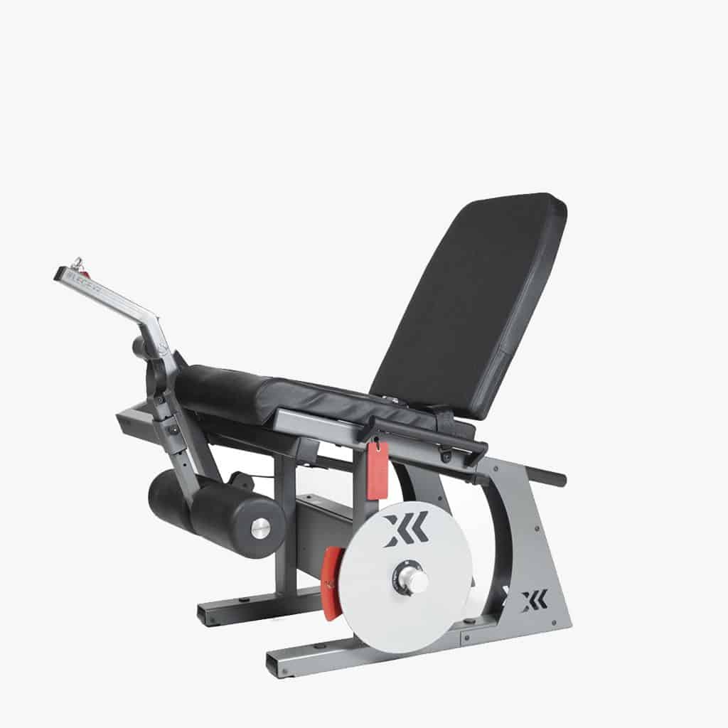 LegExx EXXENTRIC 2 LegExx EXXENTRIC