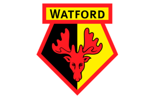 Fitness Home 15 | Fitness Home