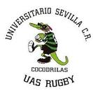 Sinergias 29 | Sinergias