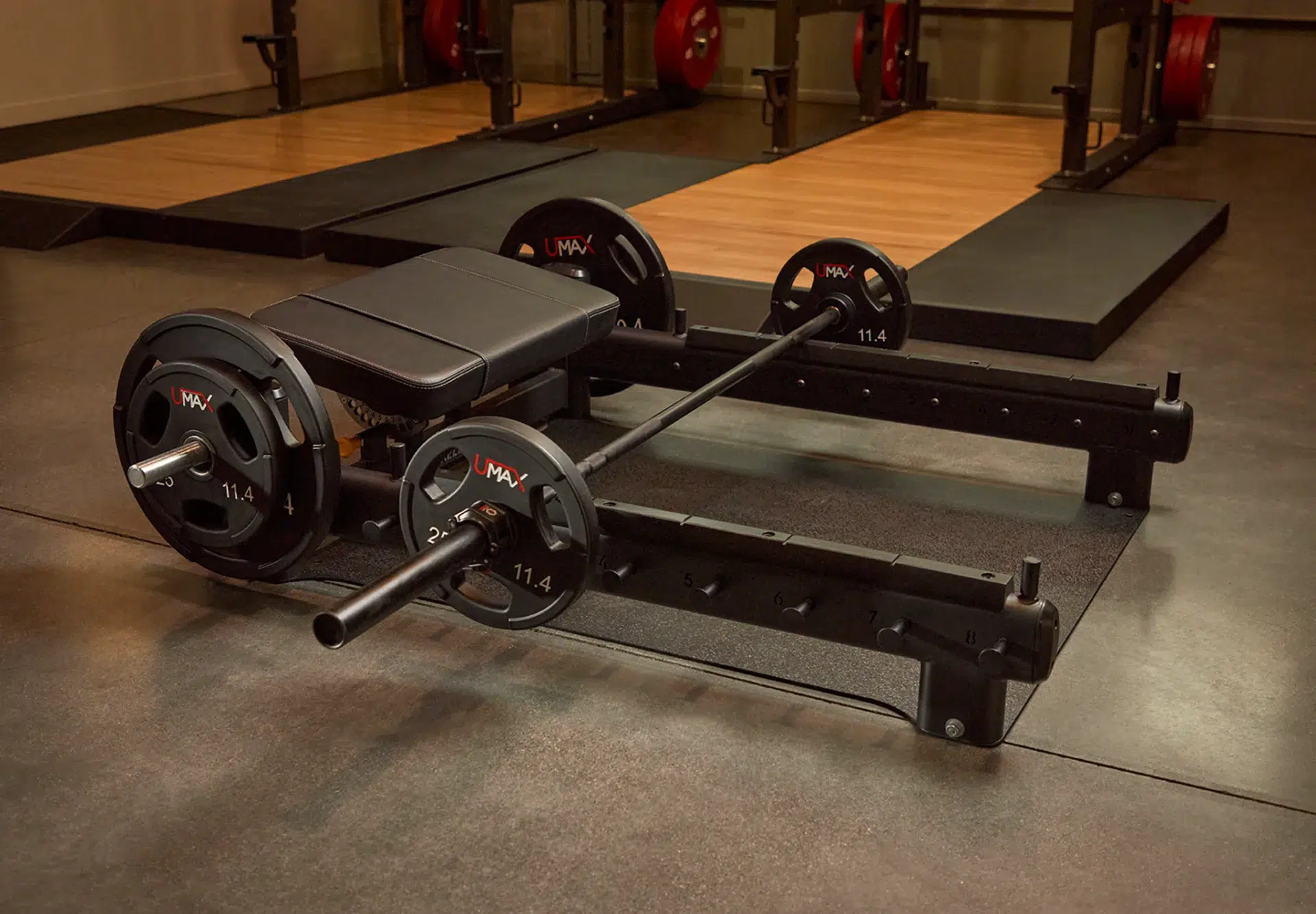Glute Bridge Bench 4 GLUTE BRIDGE BENCH Iberian Sportech